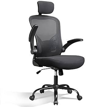 Amazon.com: DEVAISE Mesh Computer Office Chair, High Back